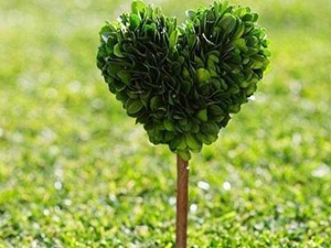 神經(jīng)癥是什么